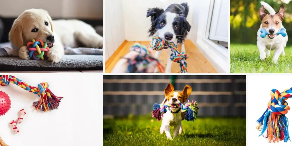 Top 10 Dog Toy Manufacturers in the UK (2024)