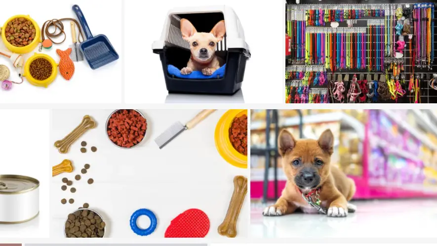 10 Best Pet Product Manufacturers in the UK (2024)