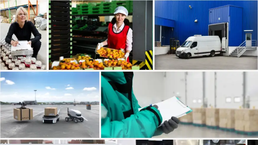 10 Best Food Logistics Companies in the UK (2024)