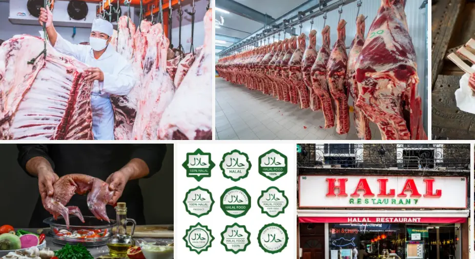 Top 10 Wholesale Halal Meat Suppliers in the UK (2024)