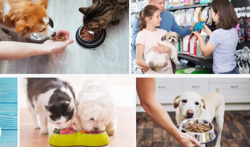 Top 9 Wholesale Pet Food Suppliers in the UK (2024)